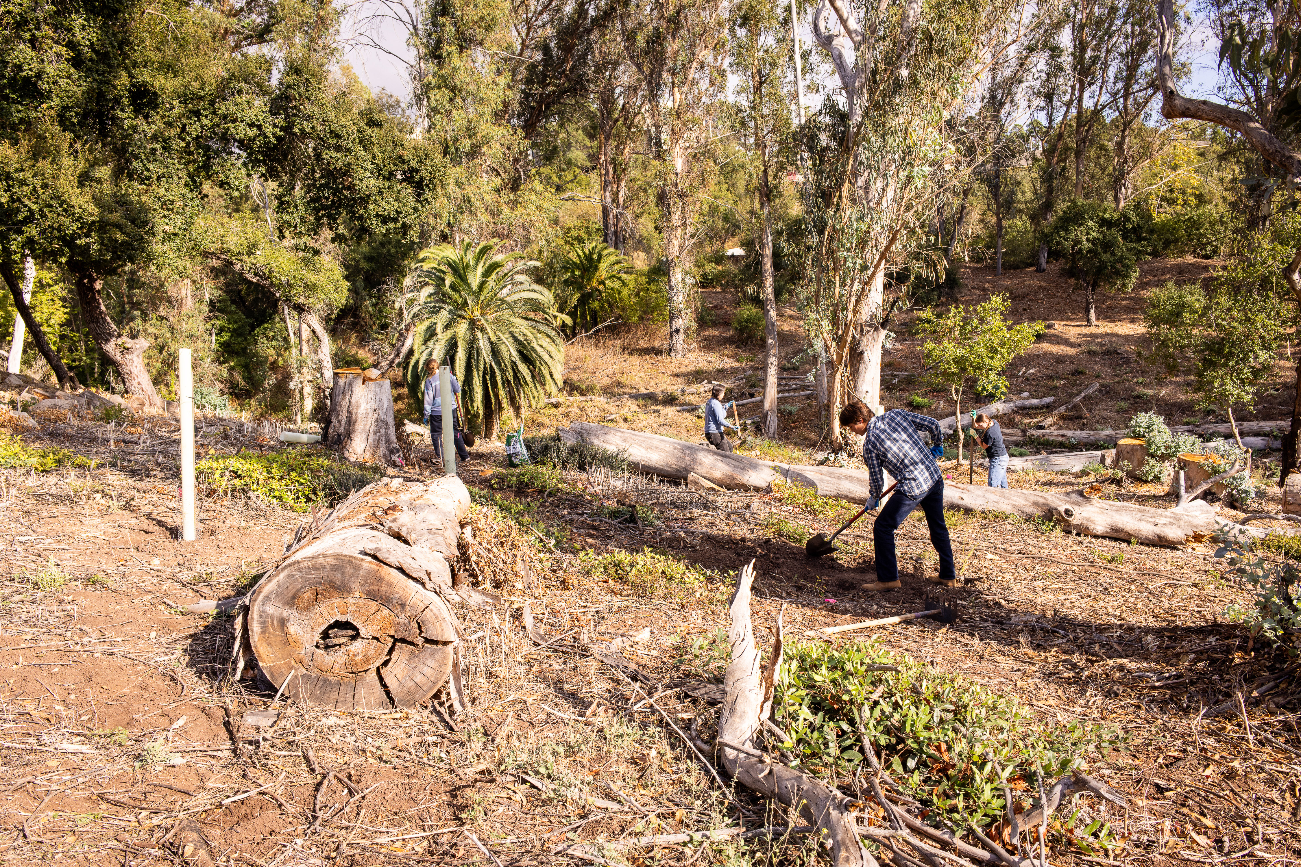 Offering Grants for Climate Projects