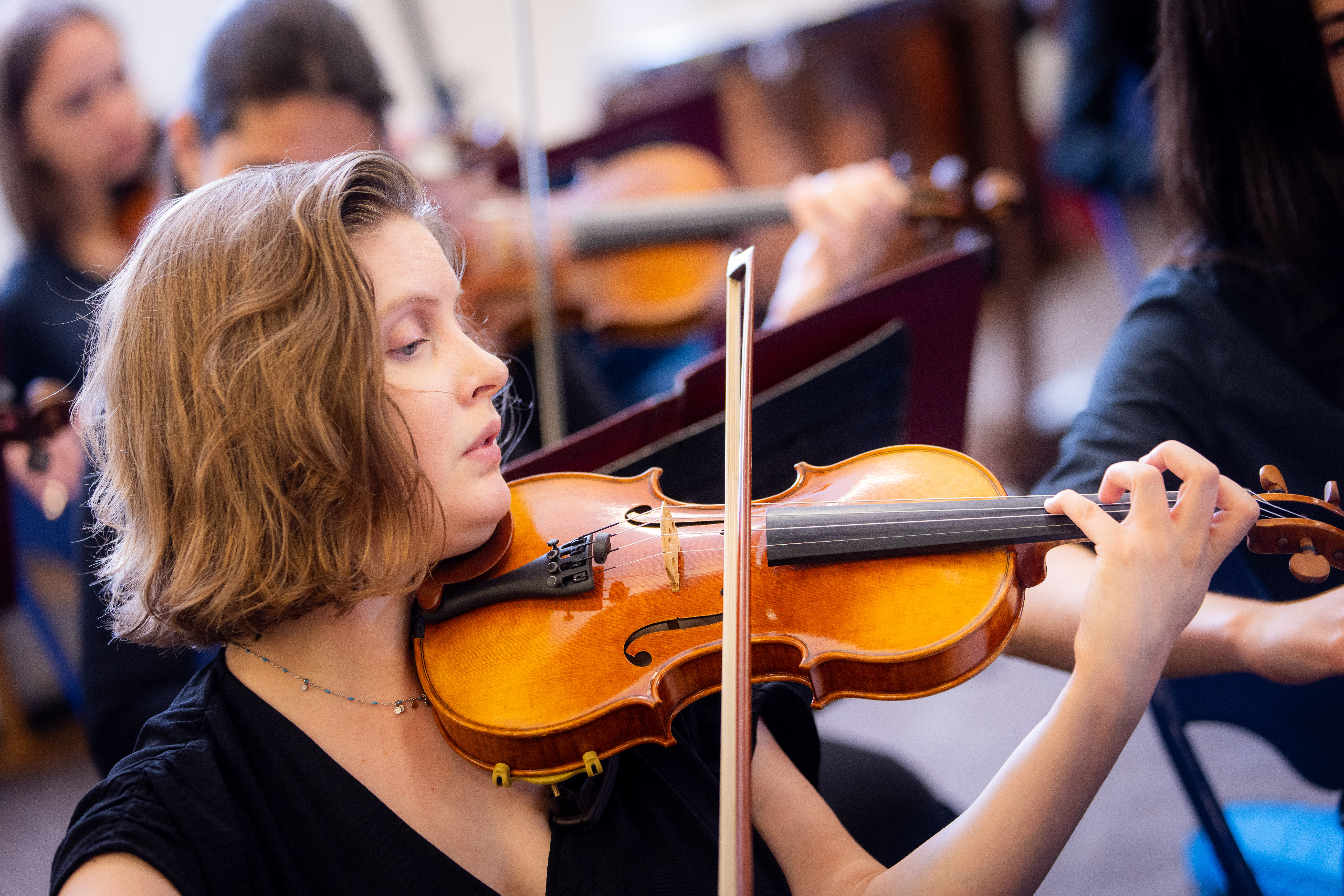 Corrie Violin