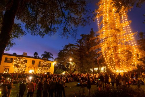‘Pickle Tree’ Lighting Features Santa