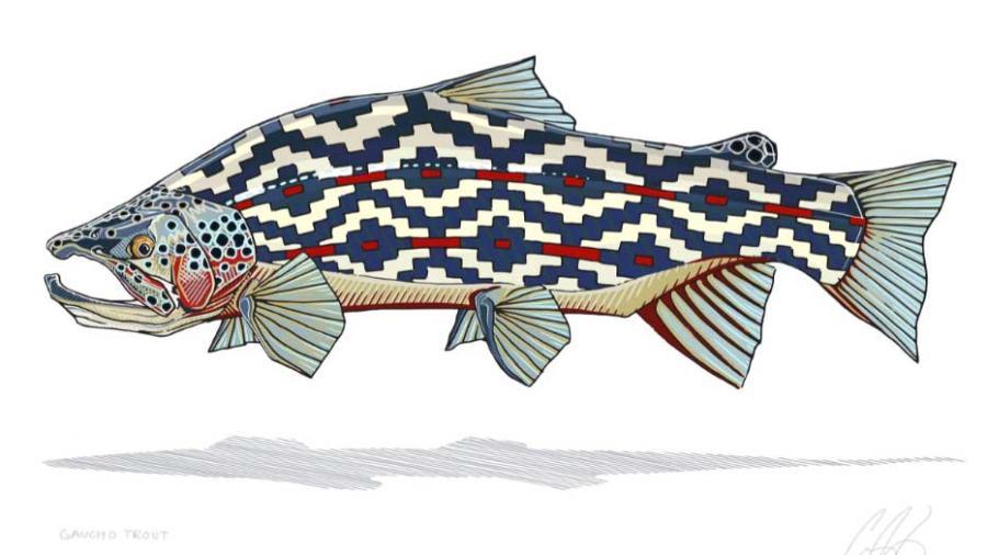Casey Underwood's 'Gaucho Trout'