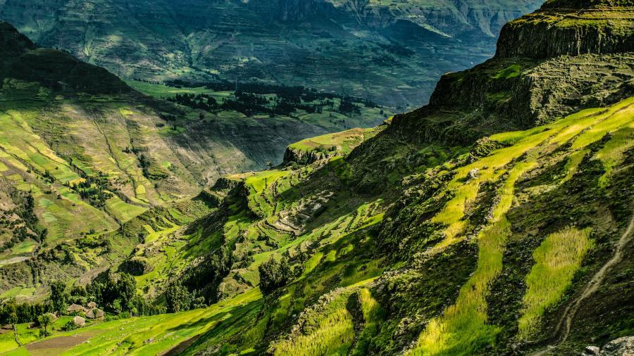 Atkins Header - Westmont Magazine