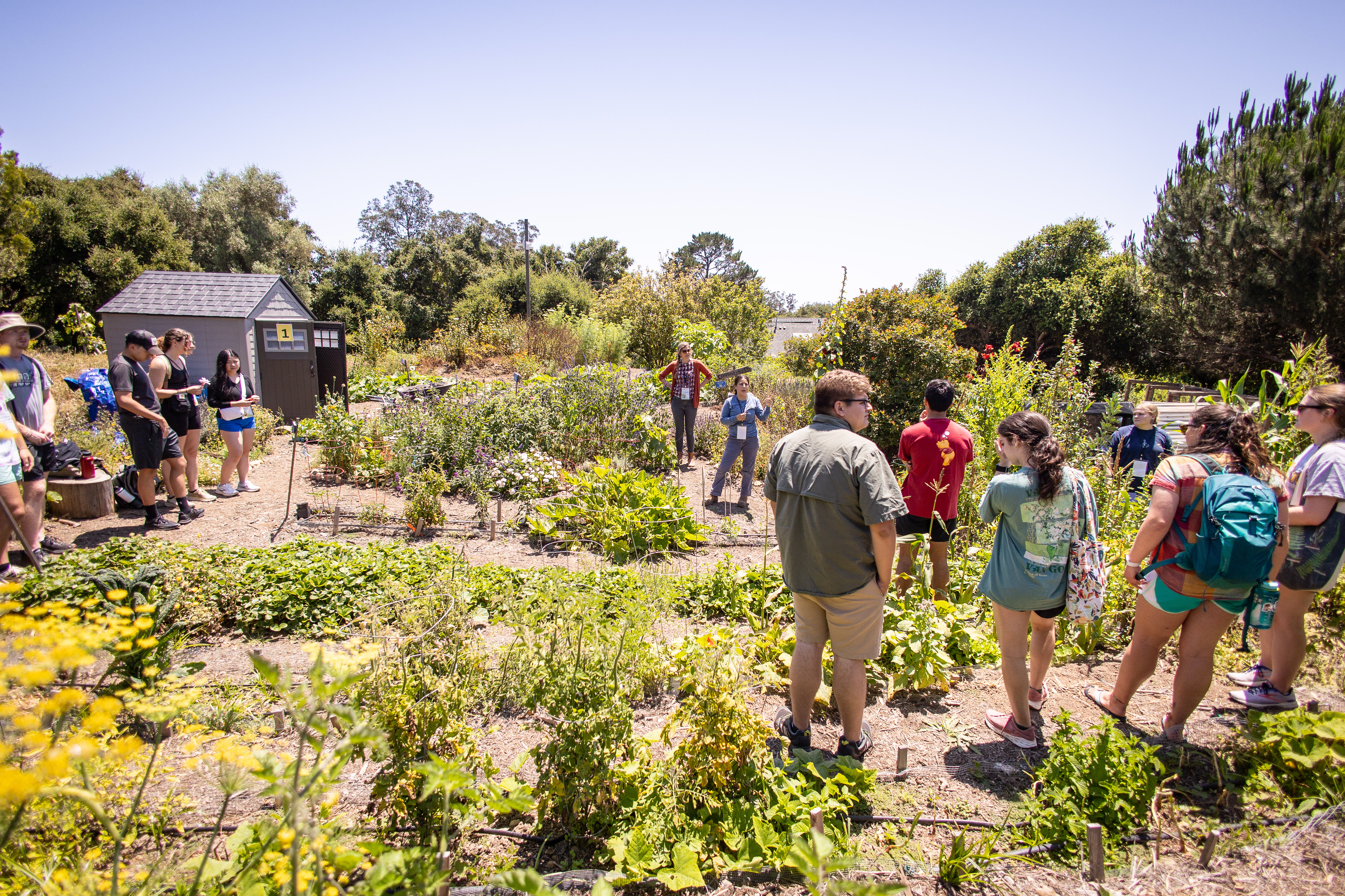 Visitors in the Westmont Garden