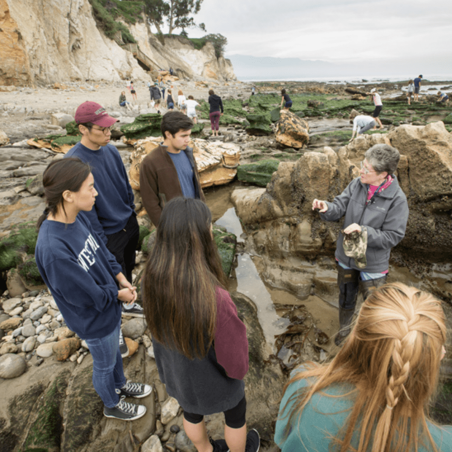 environmental studies students learning at the beach