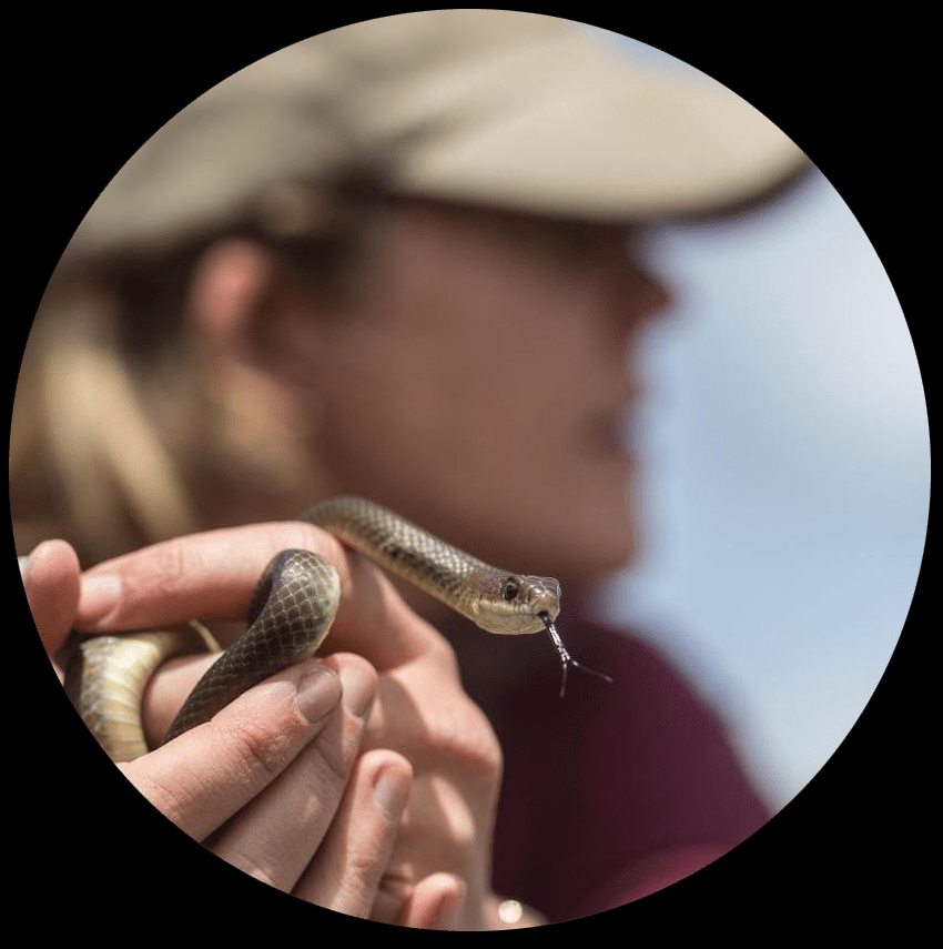 Amanda Sparkman holding snake