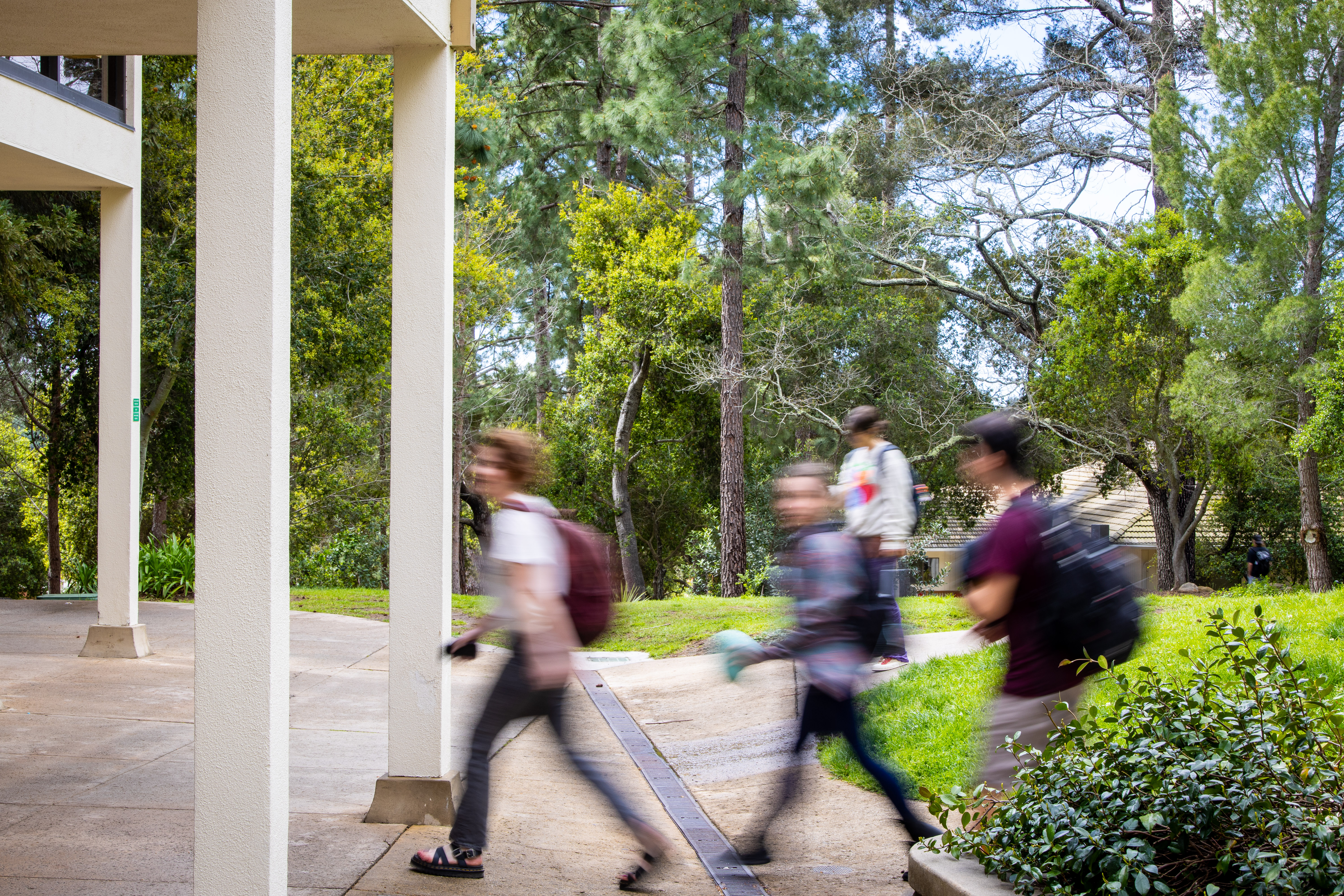 westmont students walking in motion on campus