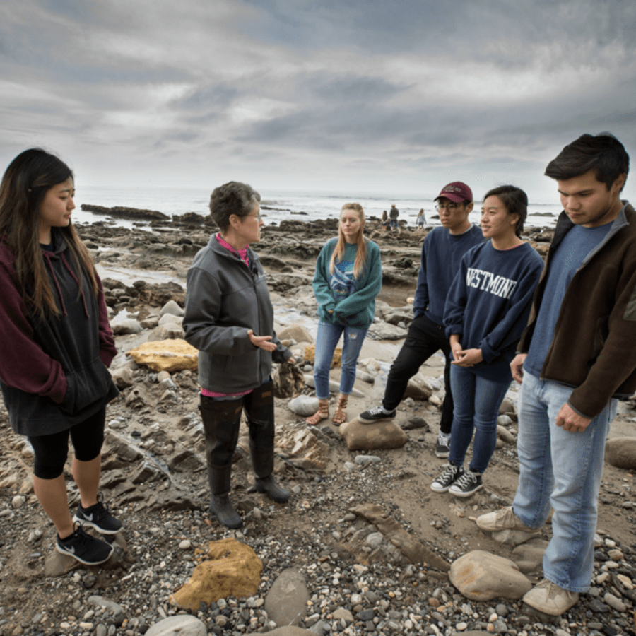 biology students on beach