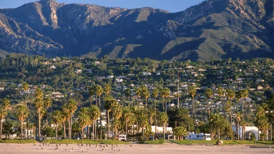 chase palm park